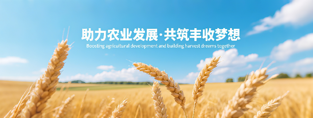 瓦楞纸板生产线淀粉胶工艺与原理